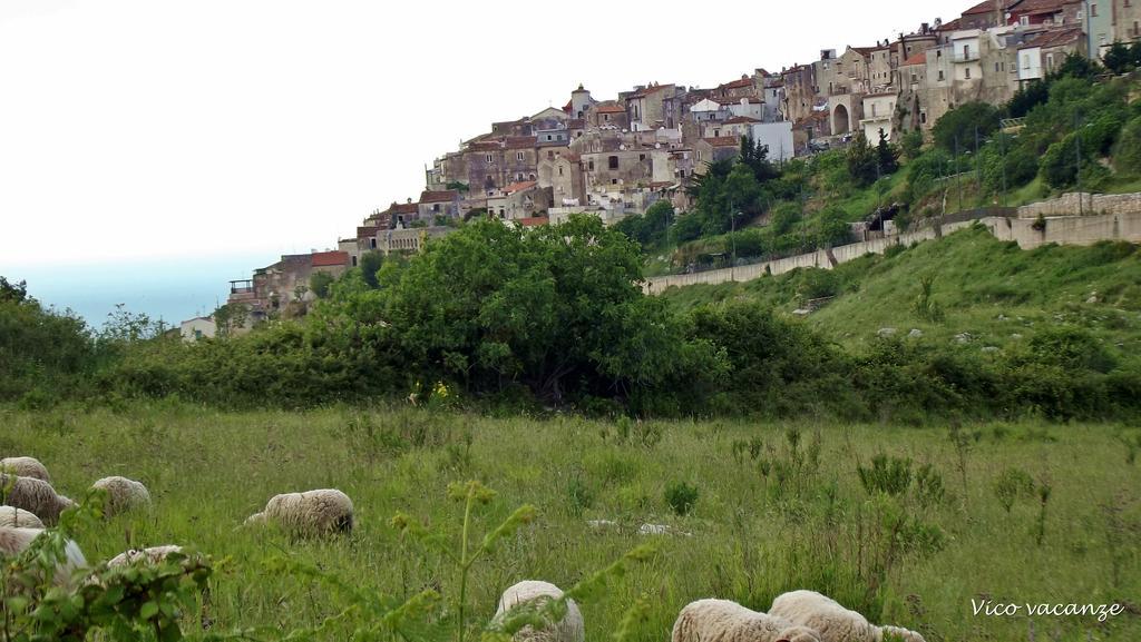 B&B Vico Vacanze Vico Del Gargano Extérieur photo